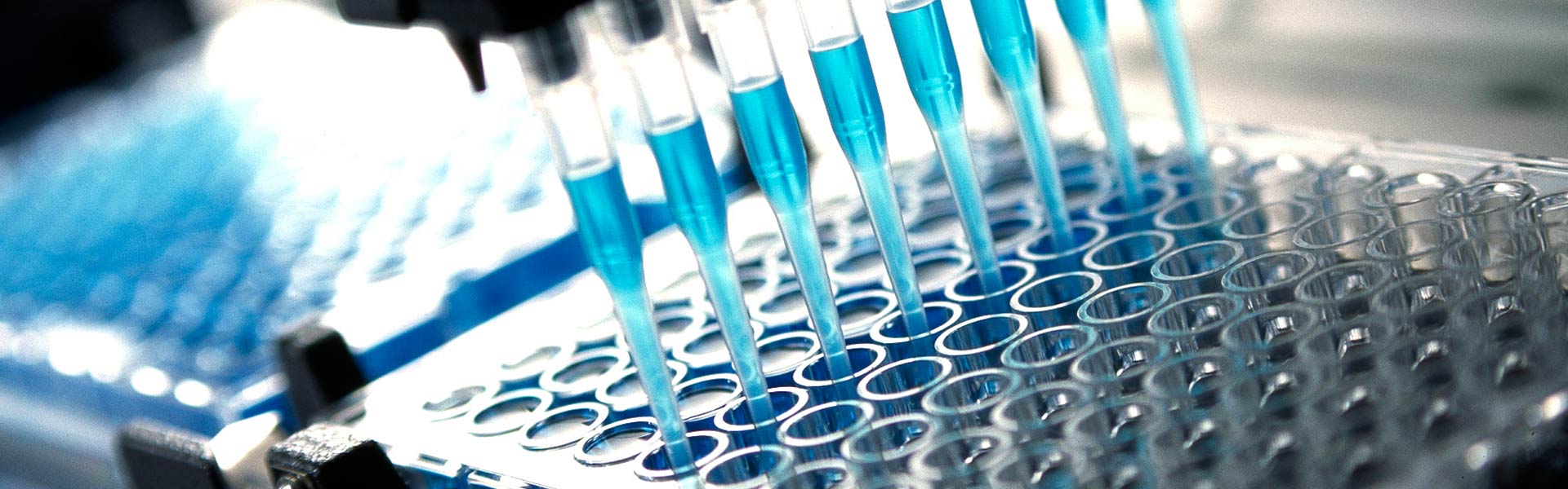 Food and pharmaceutical